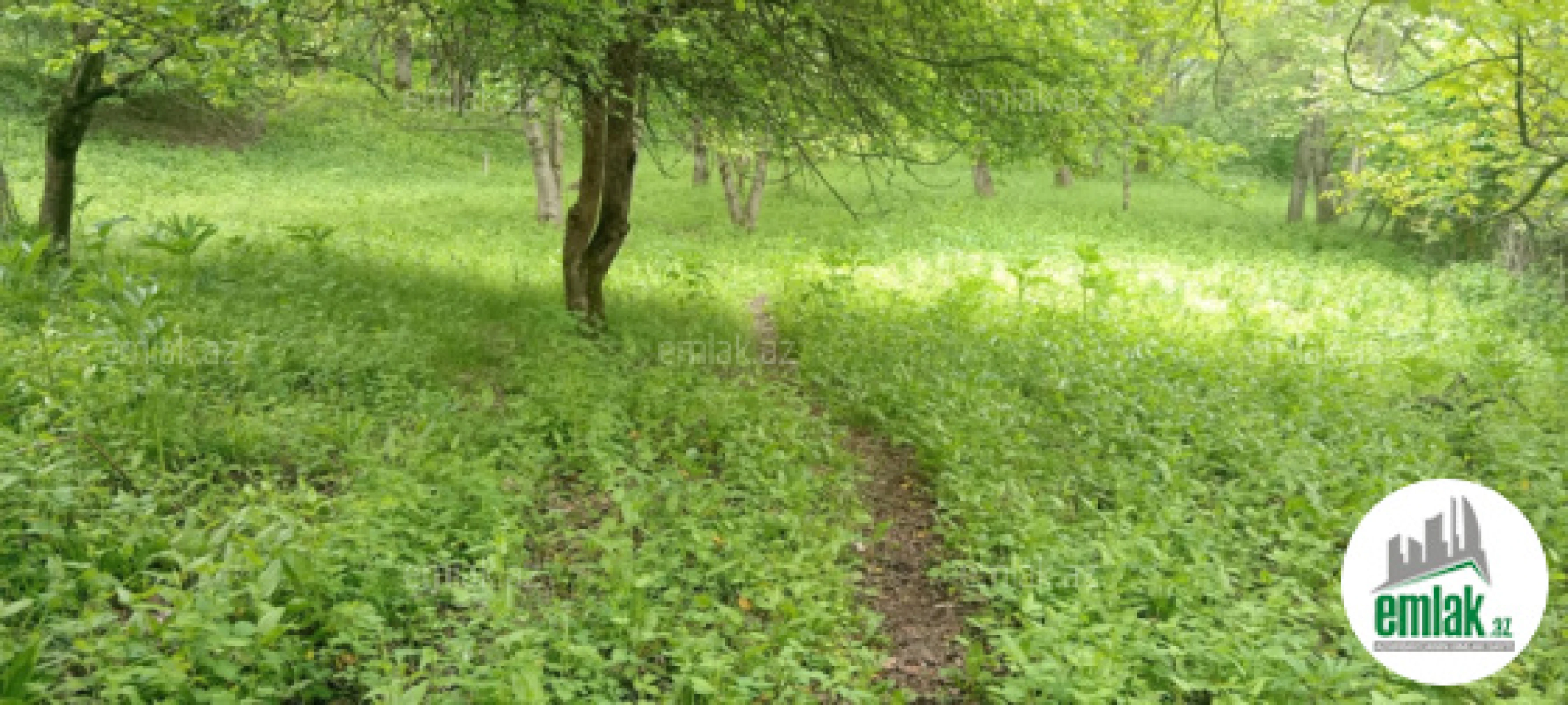 Satılır torpaq sahəsi 30 m²