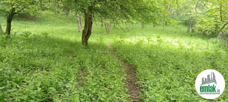 Satılır torpaq sahəsi 30 m²