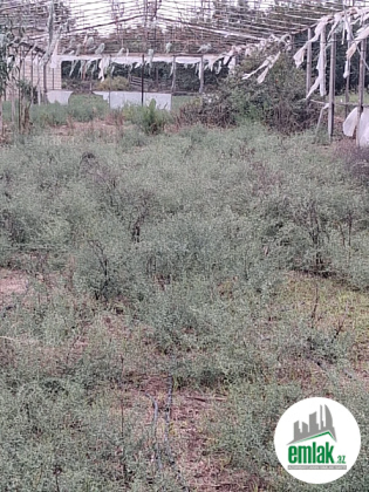 Satılır 3 otaqlı obyekt 15 m²