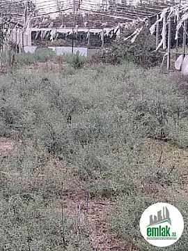 Satılır 3 otaqlı obyekt 15 m²