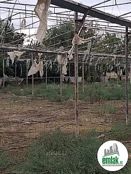 Satılır 3 otaqlı obyekt 15 m²