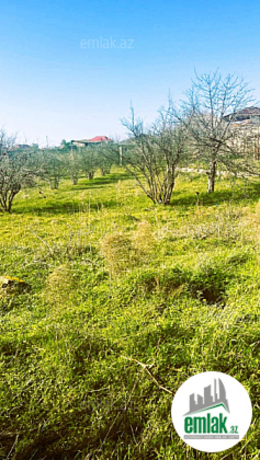 Satılır 3 otaqlı mənzil 85 m²