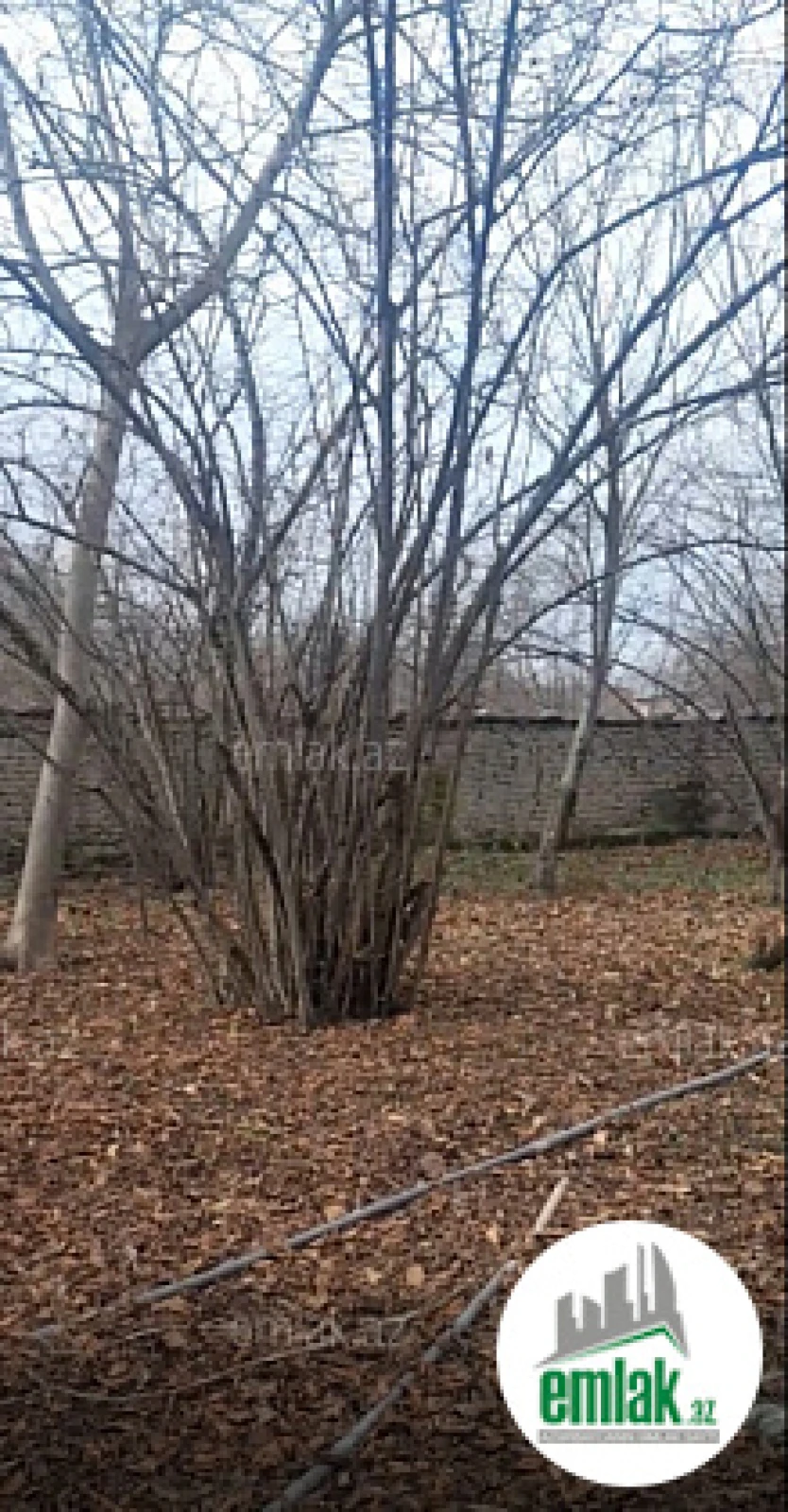 Satılır torpaq sahəsi 6 m²