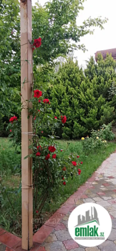 Satılır 5 otaqlı mənzil 195 m²