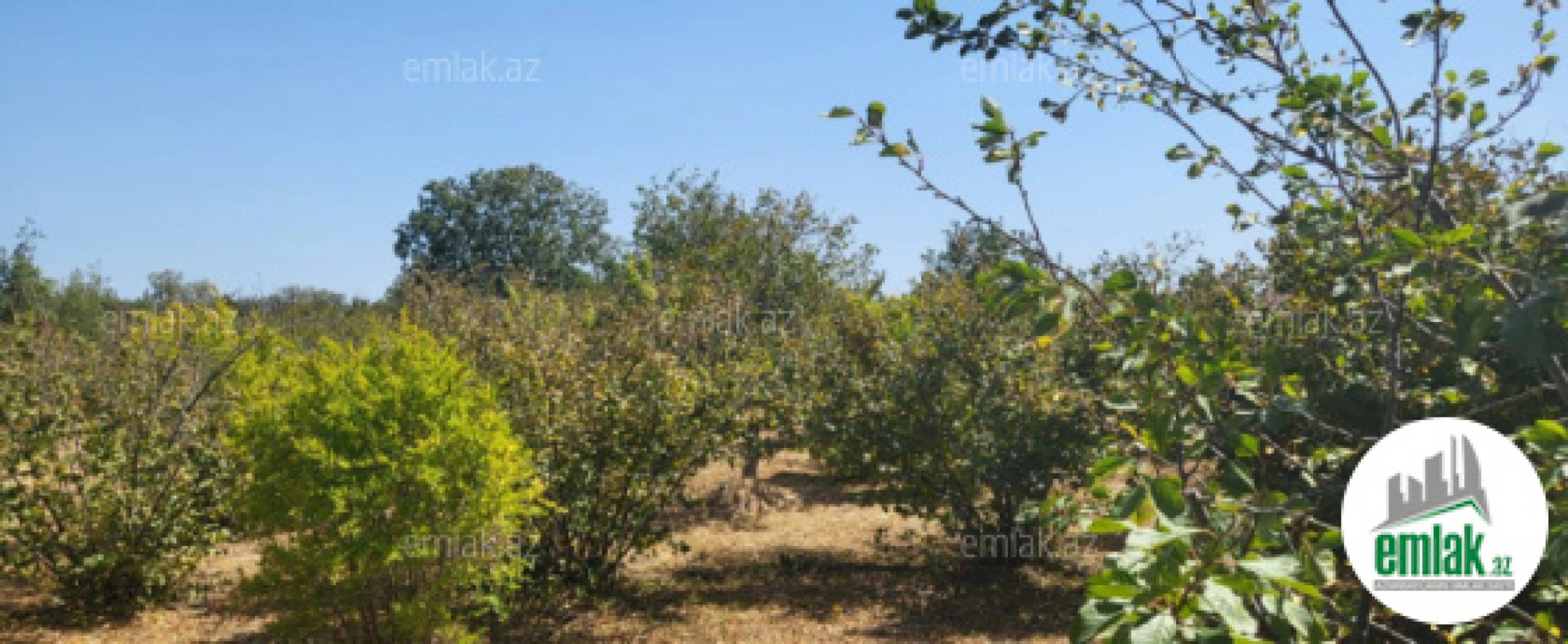 Satılır 3 otaqlı həyət evi 110 m²