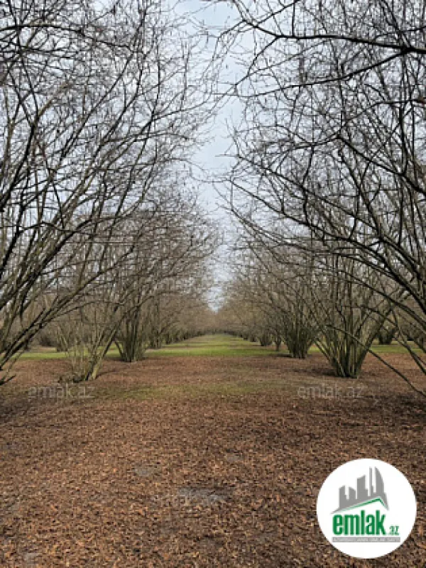 Satılır torpaq sahəsi 35 m²
