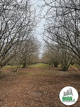 Satılır torpaq sahəsi 35 m²