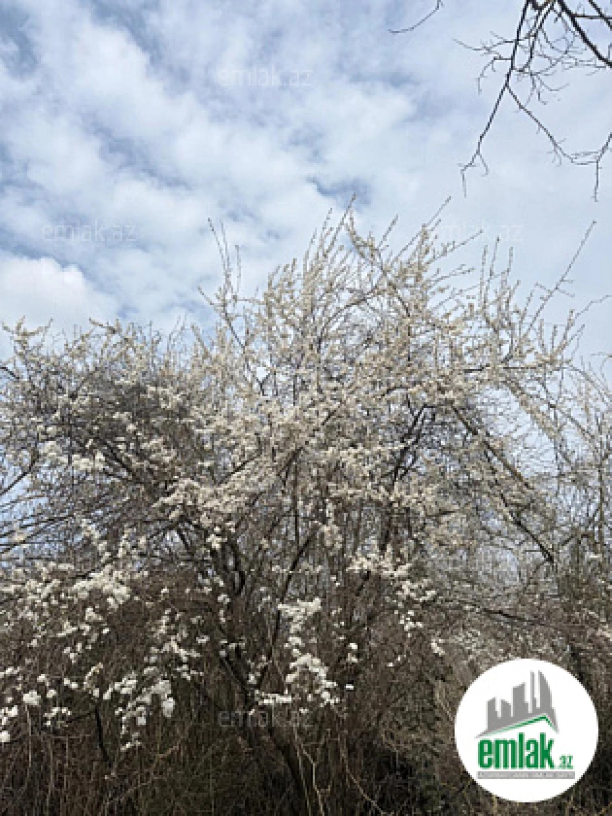 Satılır torpaq sahəsi 35 m²