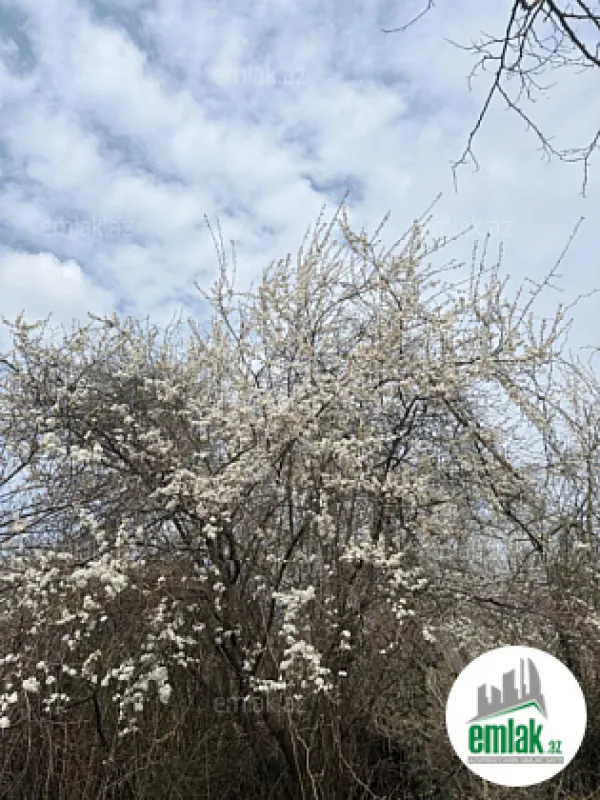 Satılır torpaq sahəsi 35 m²