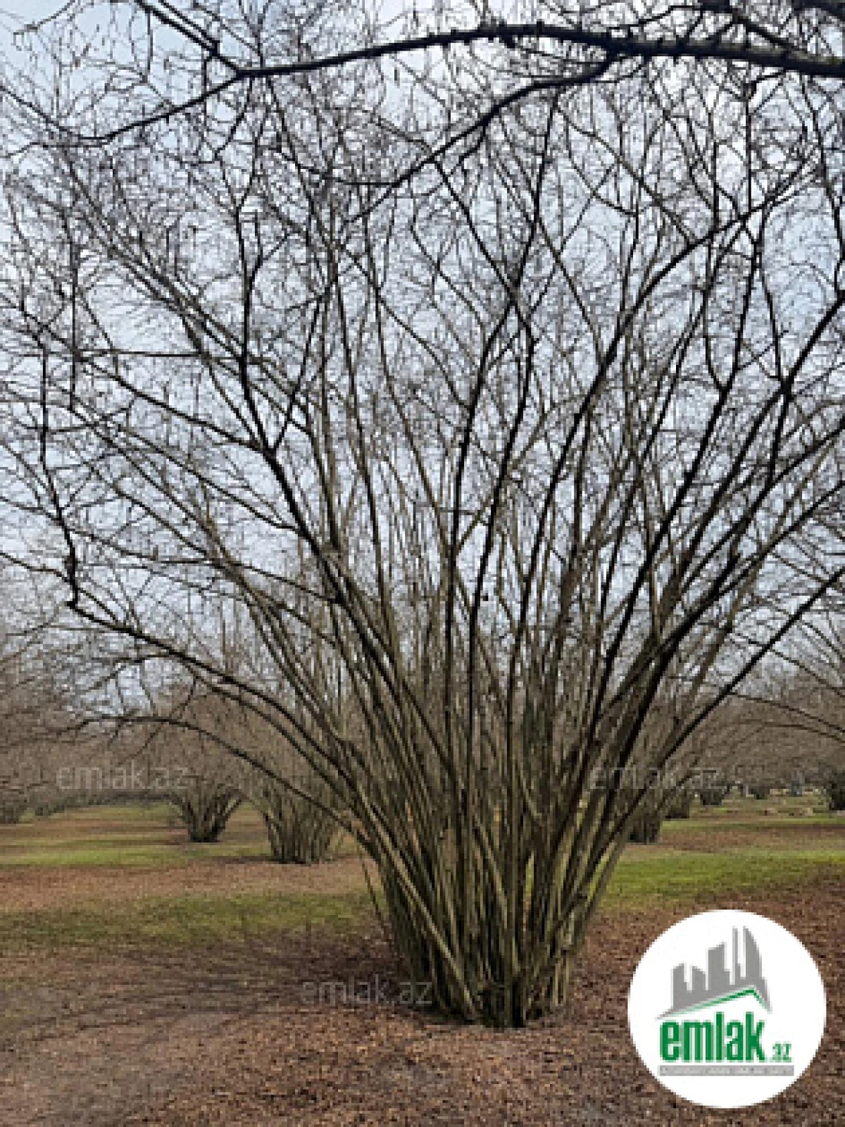 Satılır torpaq sahəsi 35 m²