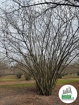 Satılır torpaq sahəsi 35 m²