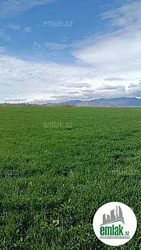 Satılır torpaq sahəsi 10000 m² — Bakı 10000.00 m²
