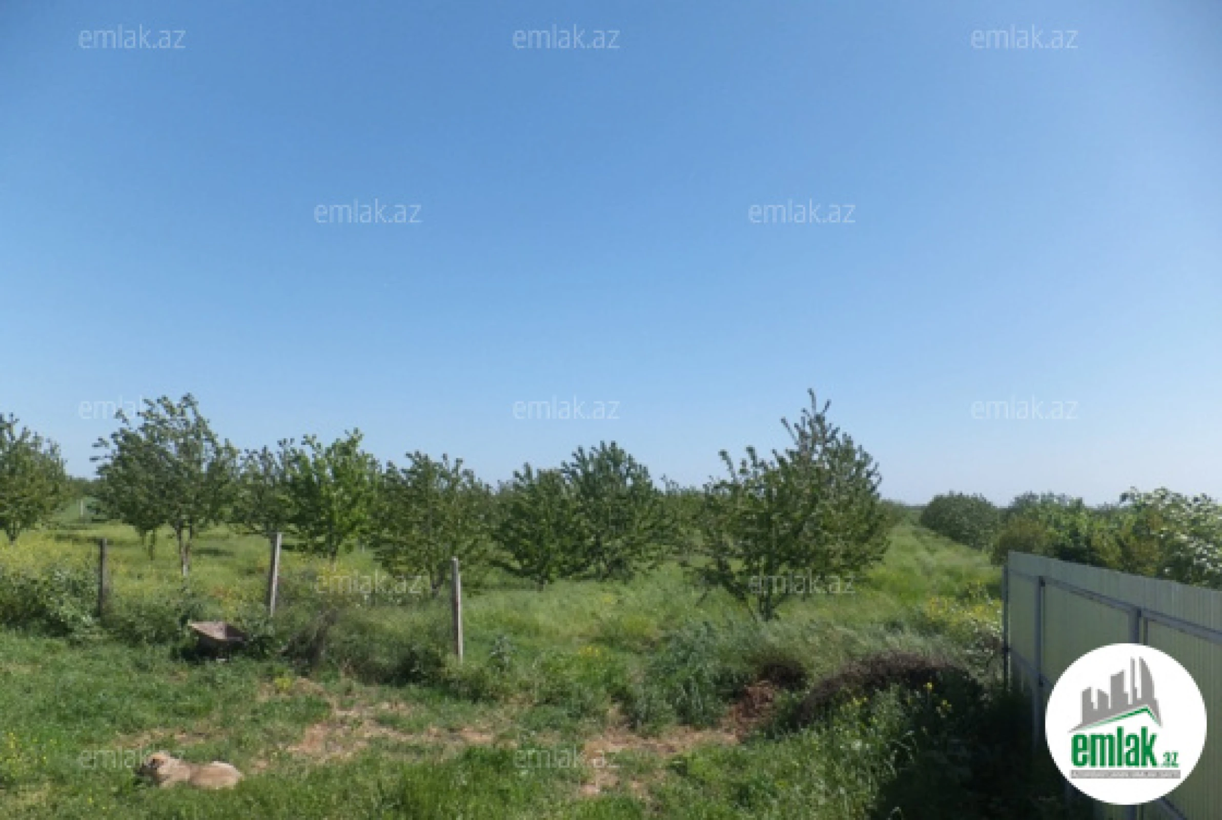 Satılır torpaq sahəsi 316 m²