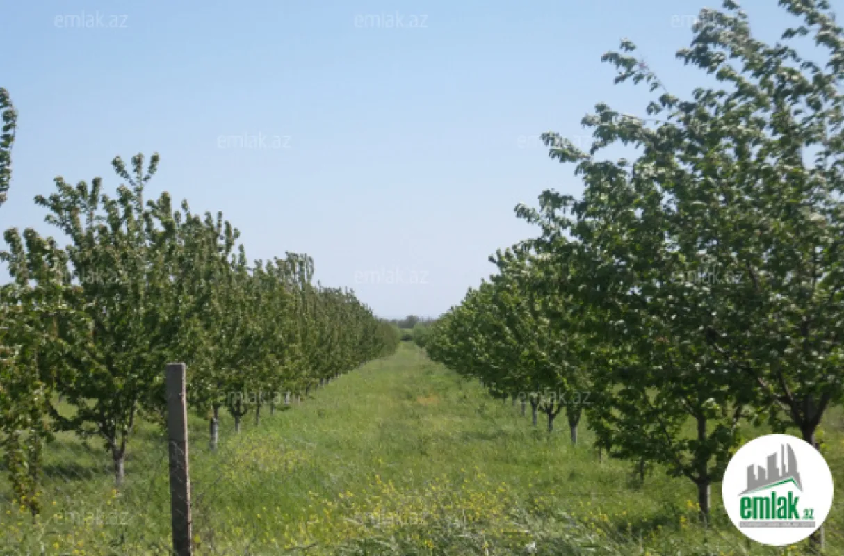 Satılır torpaq sahəsi 316 m²