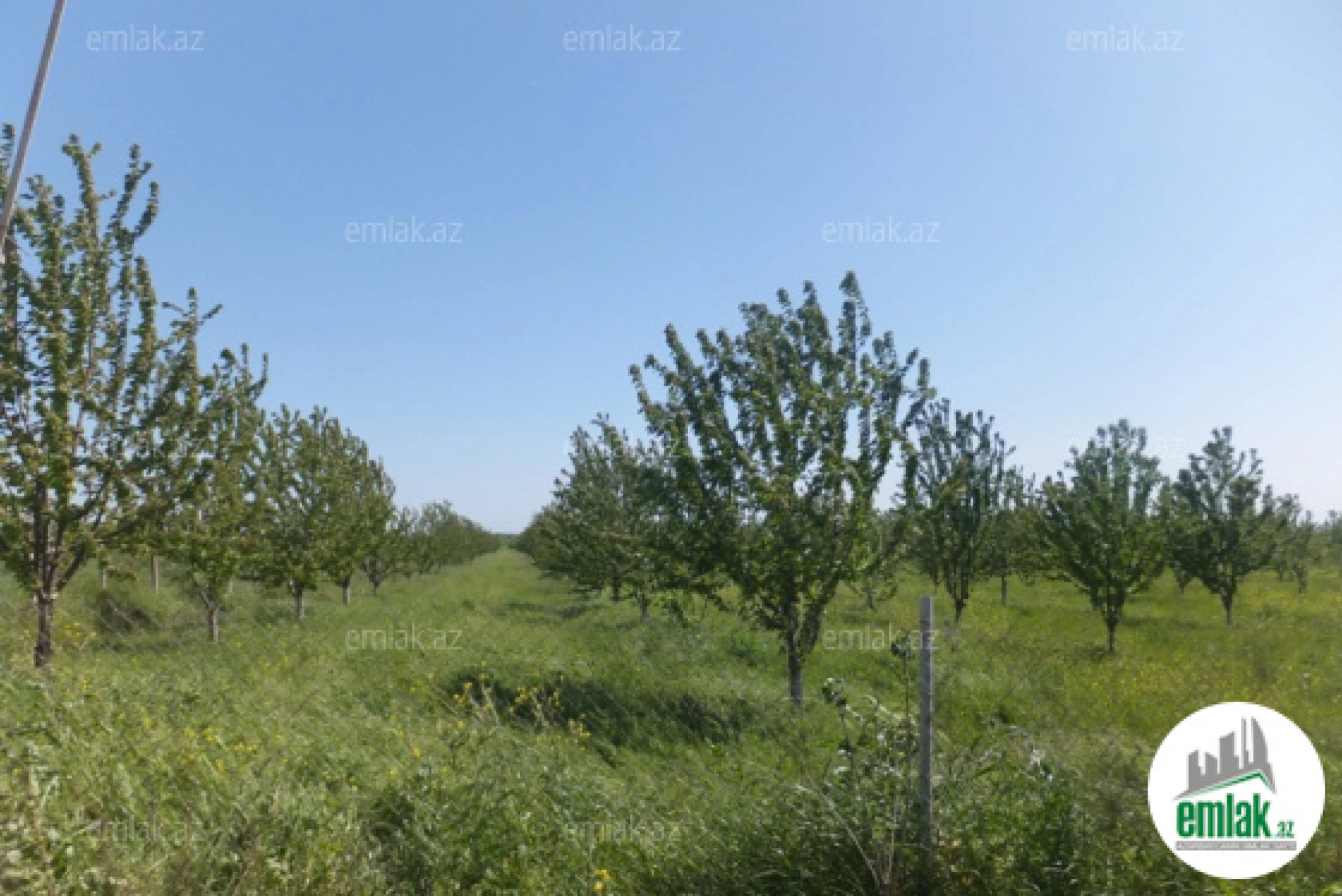 Satılır torpaq sahəsi 316 m²