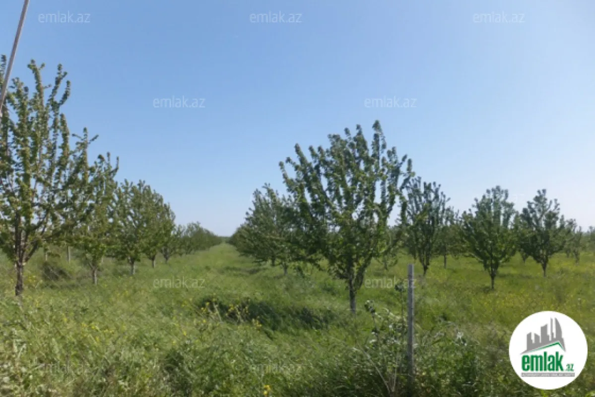 Satılır torpaq sahəsi 316 m²