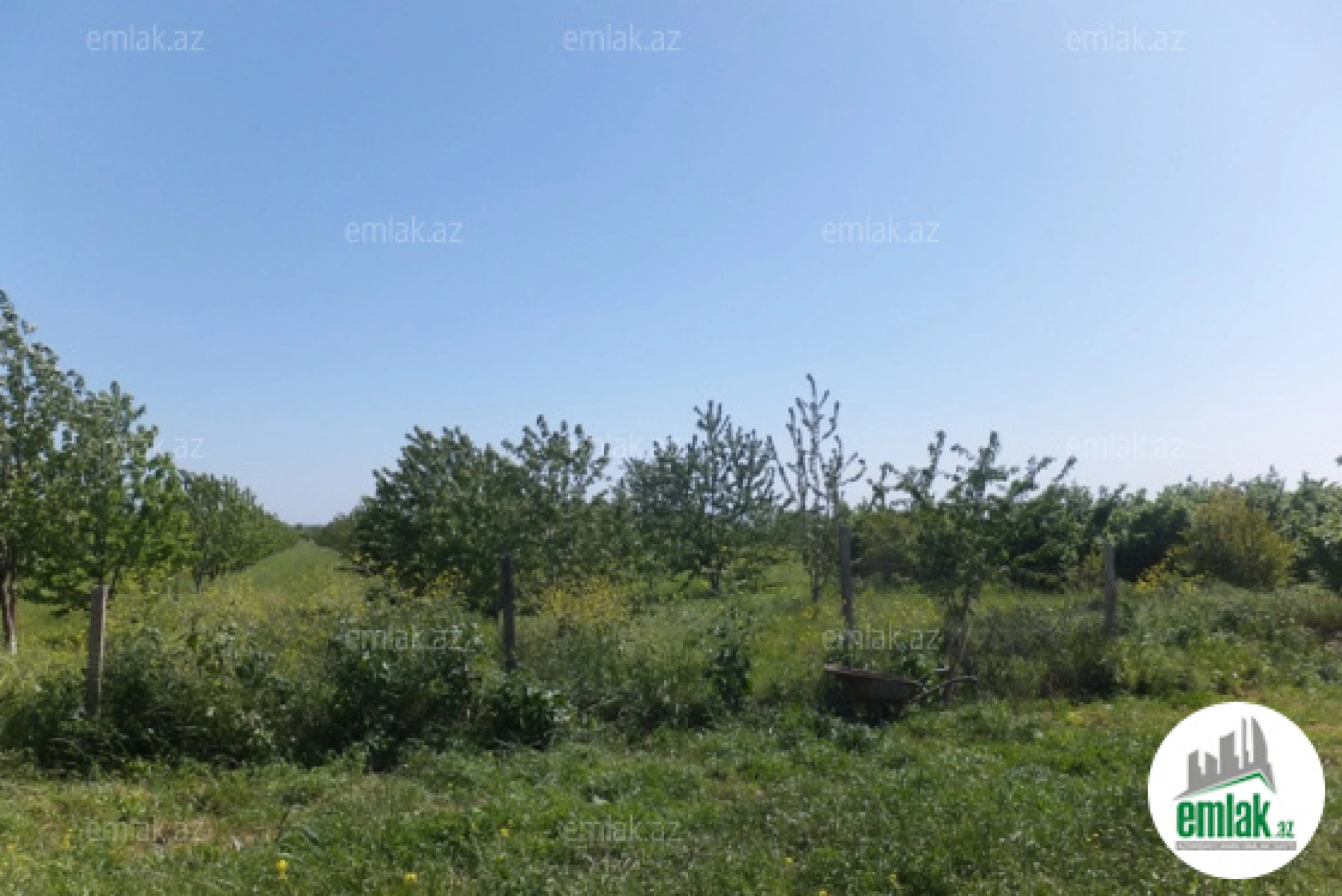 Satılır torpaq sahəsi 316 m²