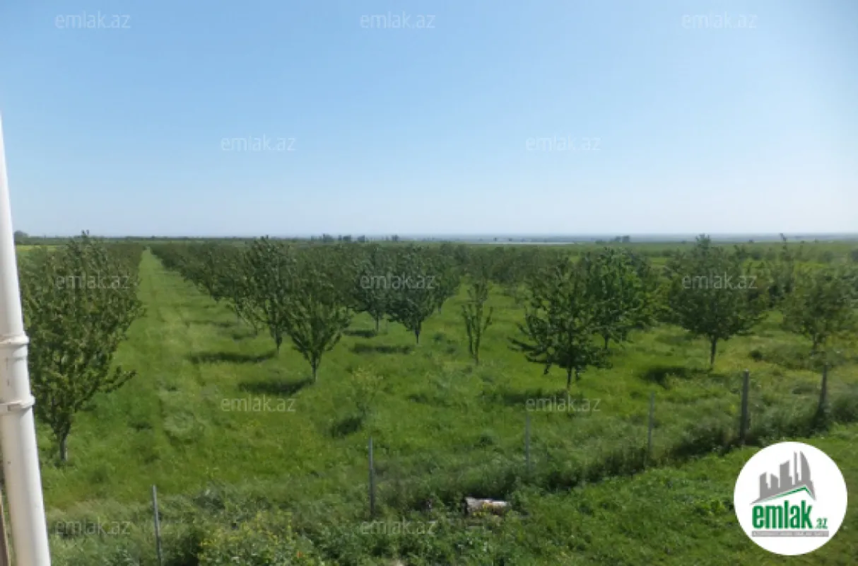 Satılır torpaq sahəsi 316 m²