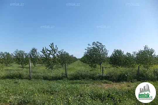 Satılır torpaq sahəsi 316 m²