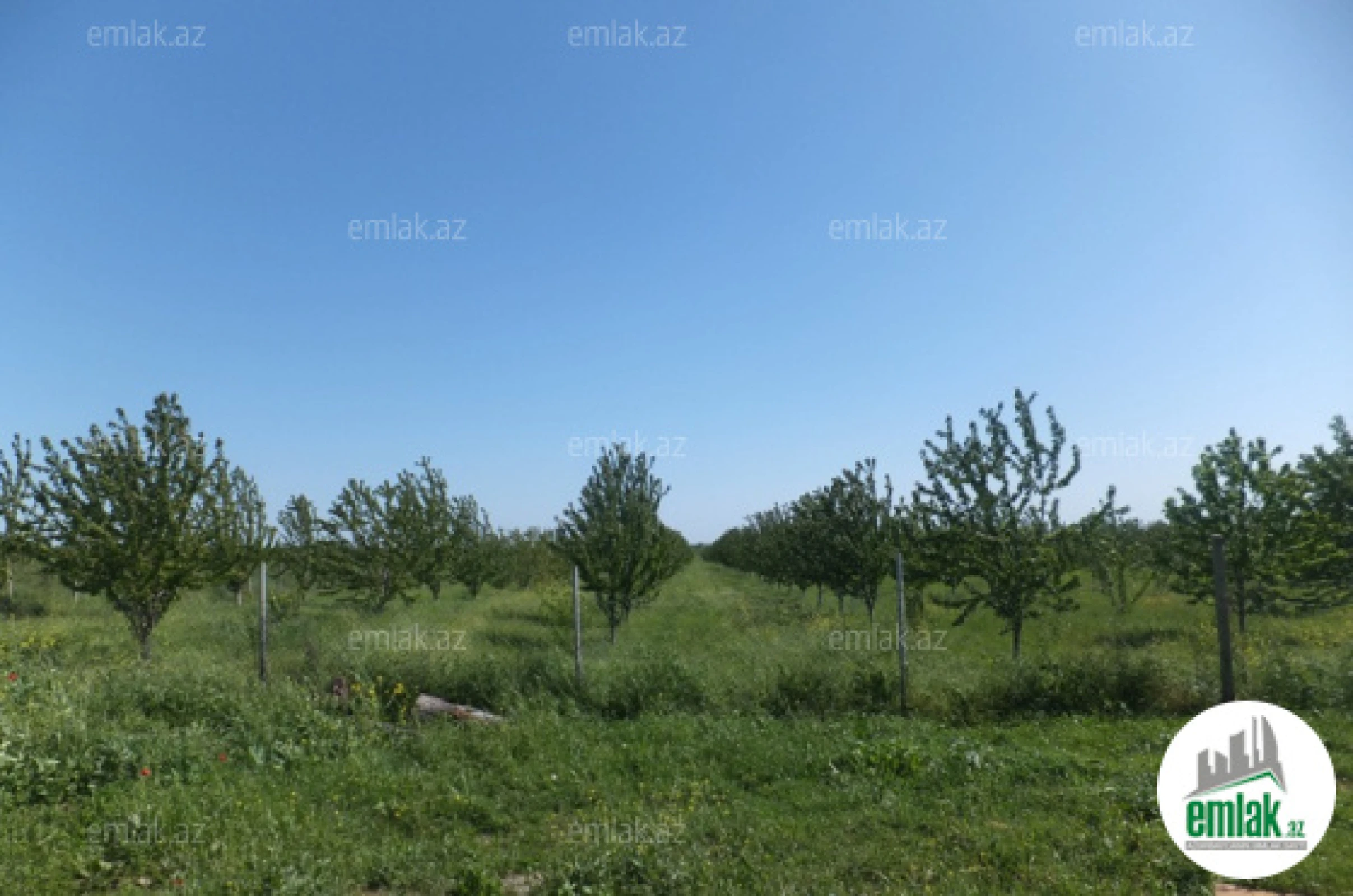 Satılır torpaq sahəsi 316 m²