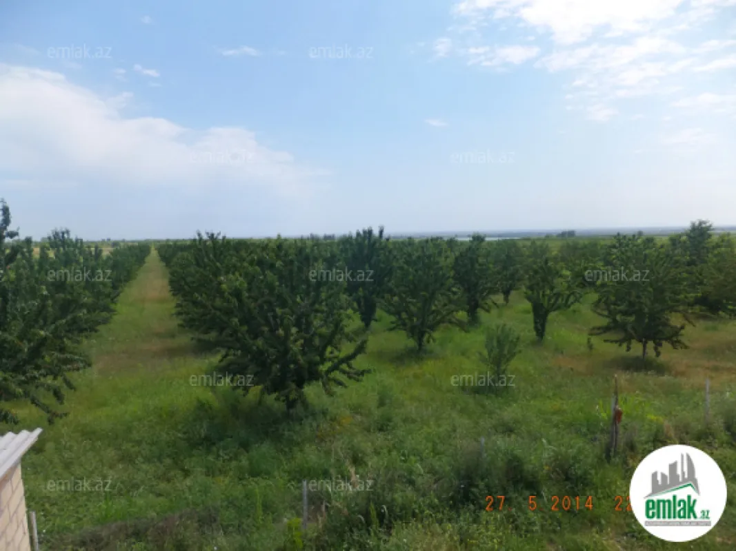 Satılır torpaq sahəsi 316 m²