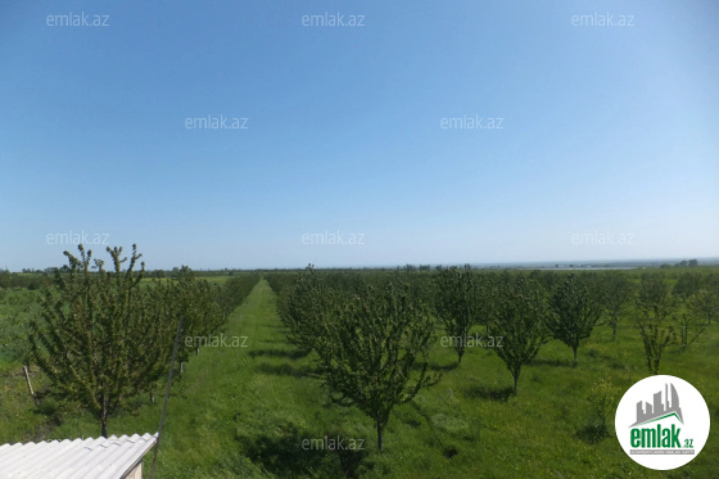 Satılır torpaq sahəsi 316 m²