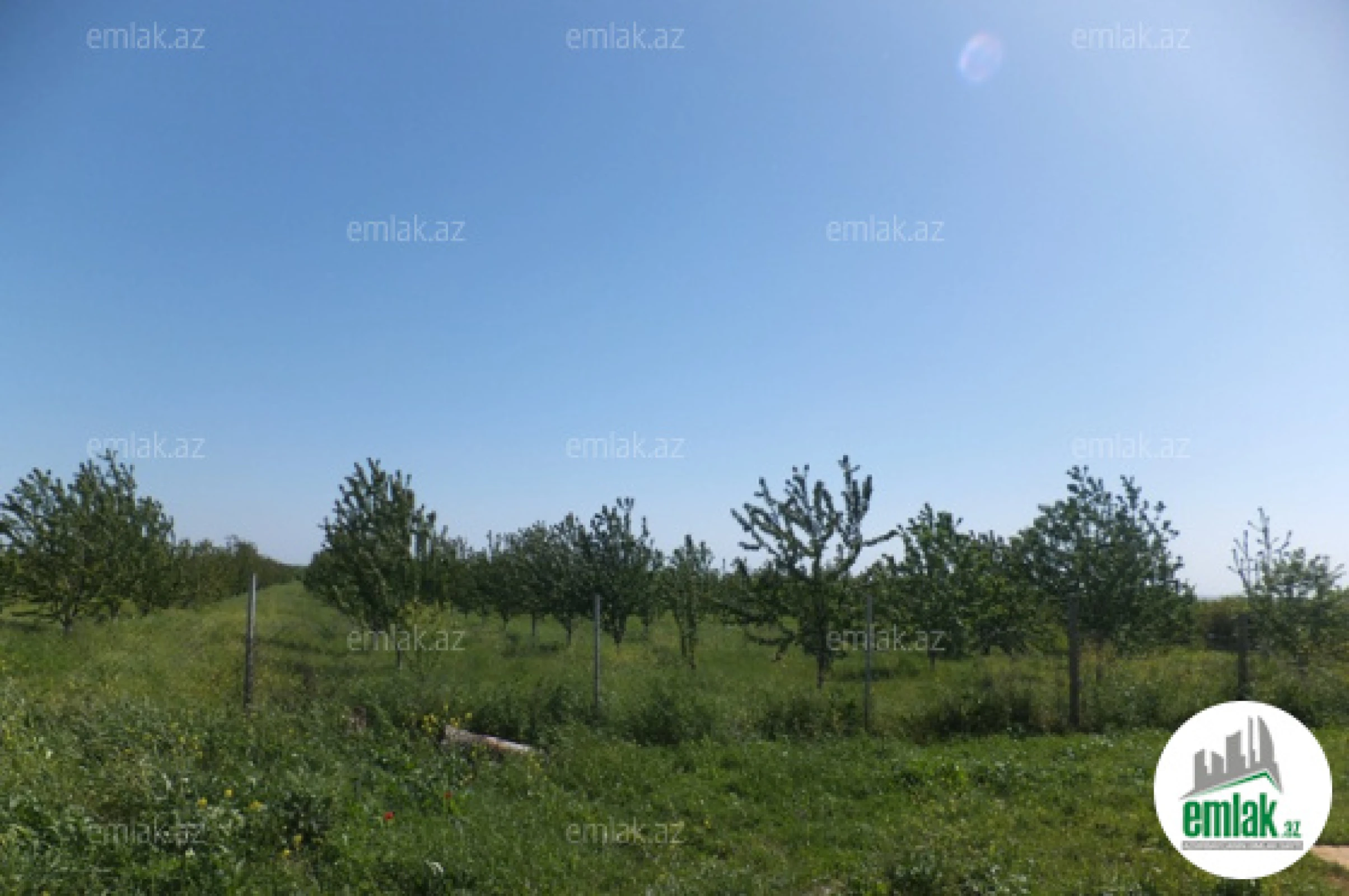 Satılır torpaq sahəsi 316 m²