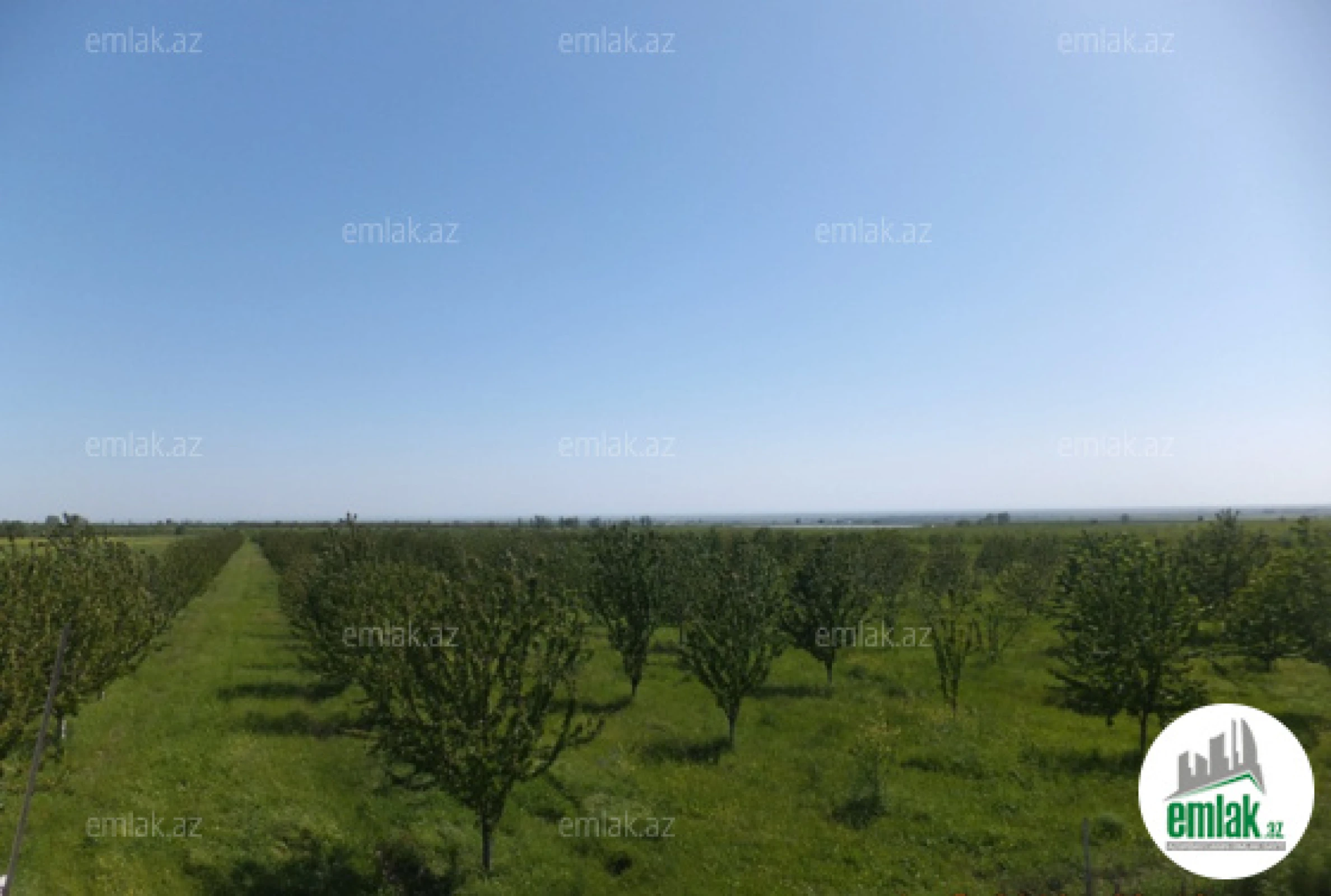 Satılır torpaq sahəsi 316 m²