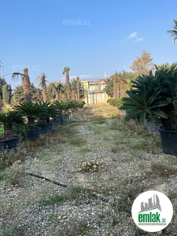 Satılır 10 otaqlı obyekt 1250 m²