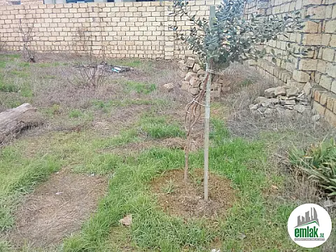 Satılır torpaq sahəsi 2 m²