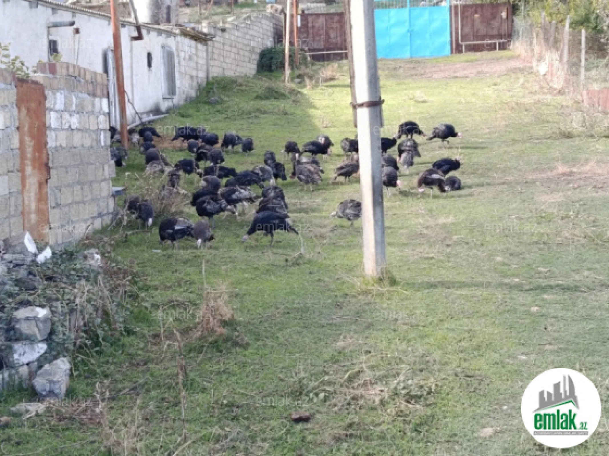 Satılır 3 otaqlı obyekt 12000 m²