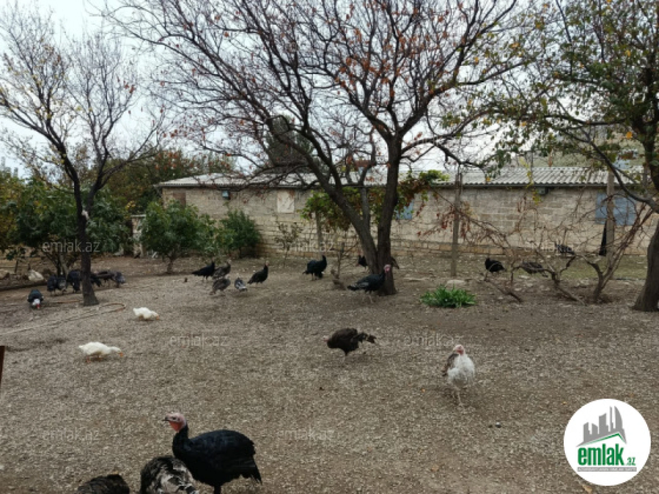 Satılır 3 otaqlı obyekt 12000 m²