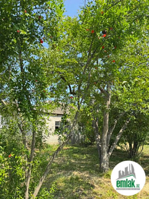 Satılır torpaq sahəsi 12 m²