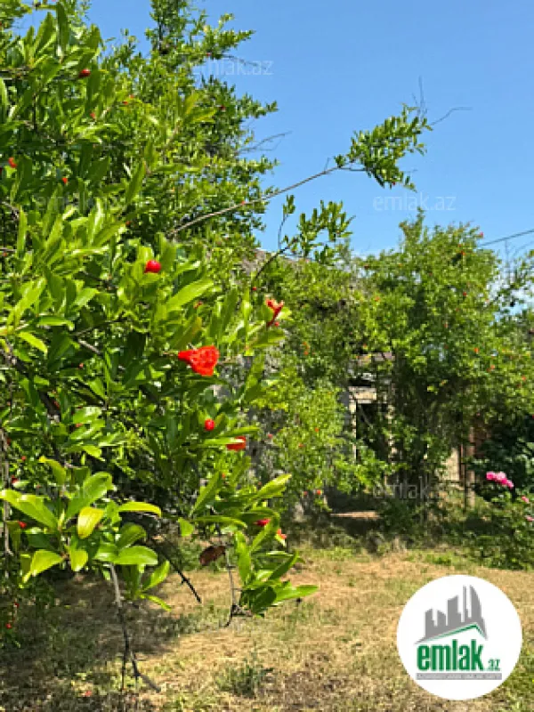 Satılır torpaq sahəsi 12 m²