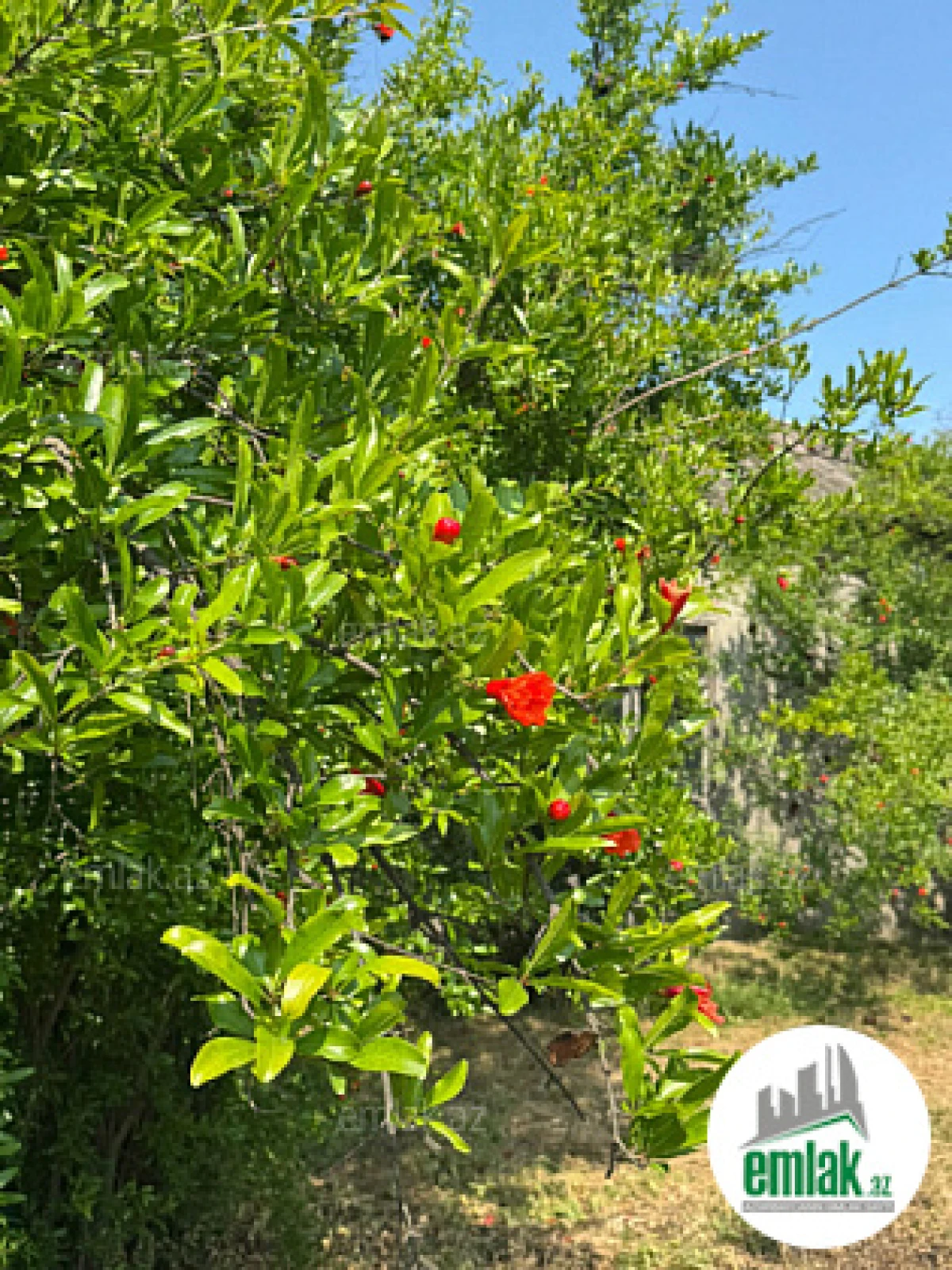 Satılır torpaq sahəsi 12 m²