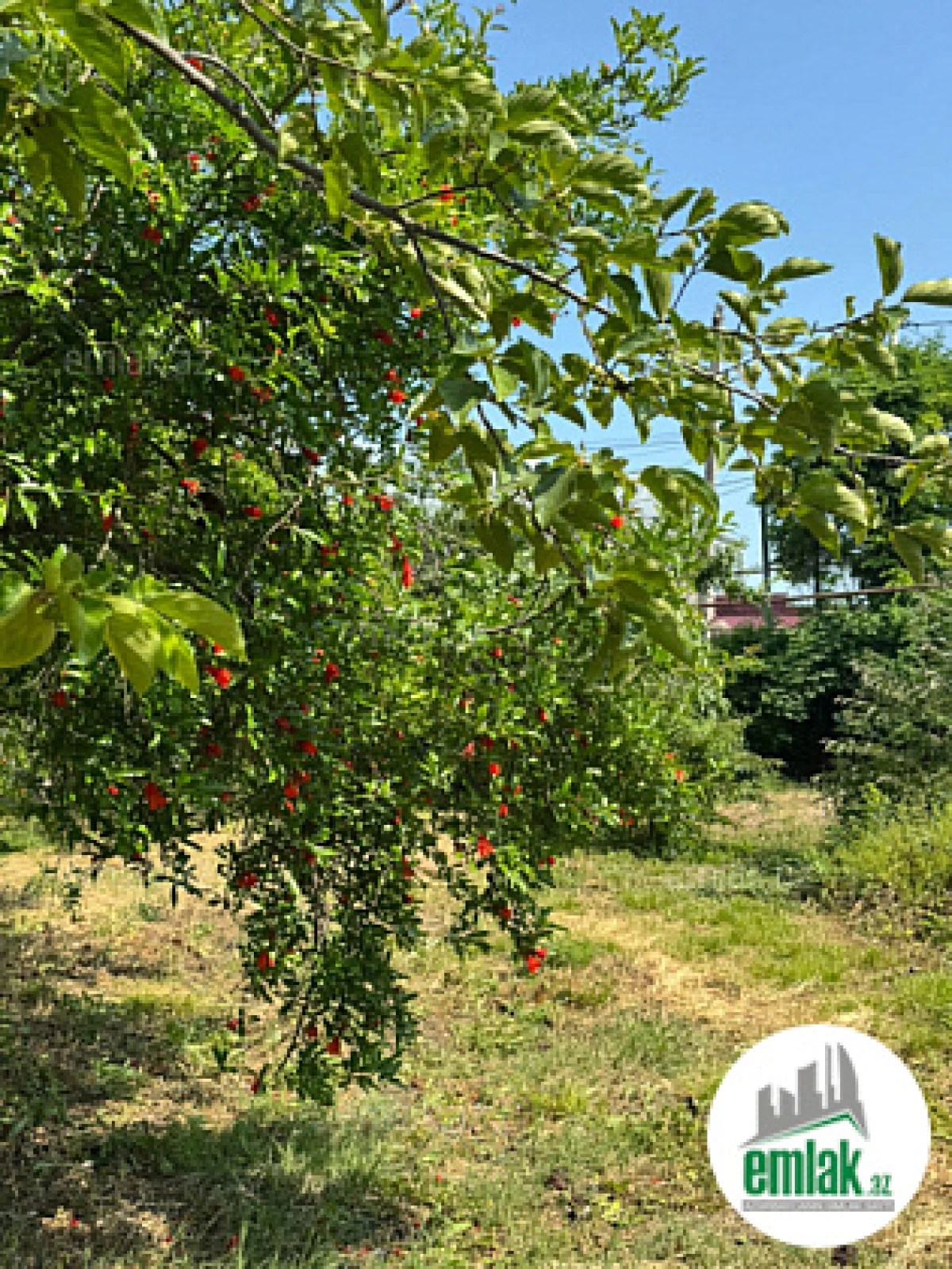 Satılır torpaq sahəsi 12 m²