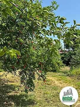 Satılır torpaq sahəsi 12 m²