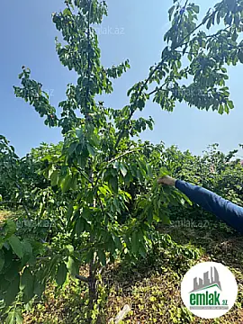 Satılır torpaq sahəsi 12 m²