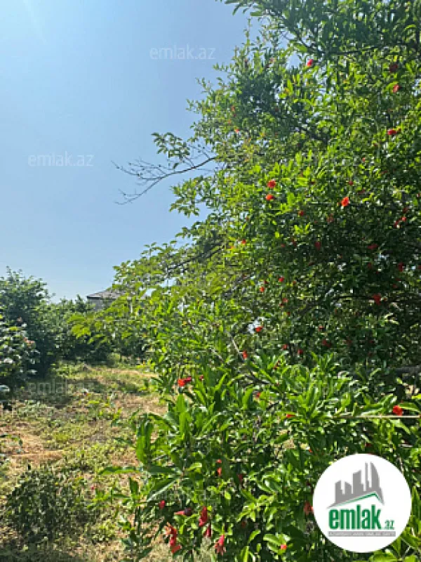 Satılır torpaq sahəsi 12 m²