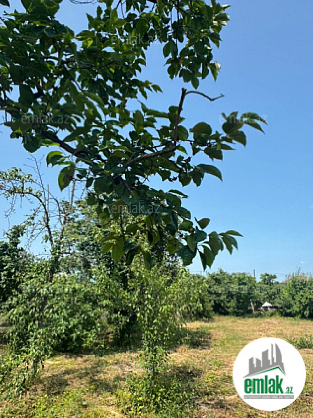 Satılır torpaq sahəsi 12 m²