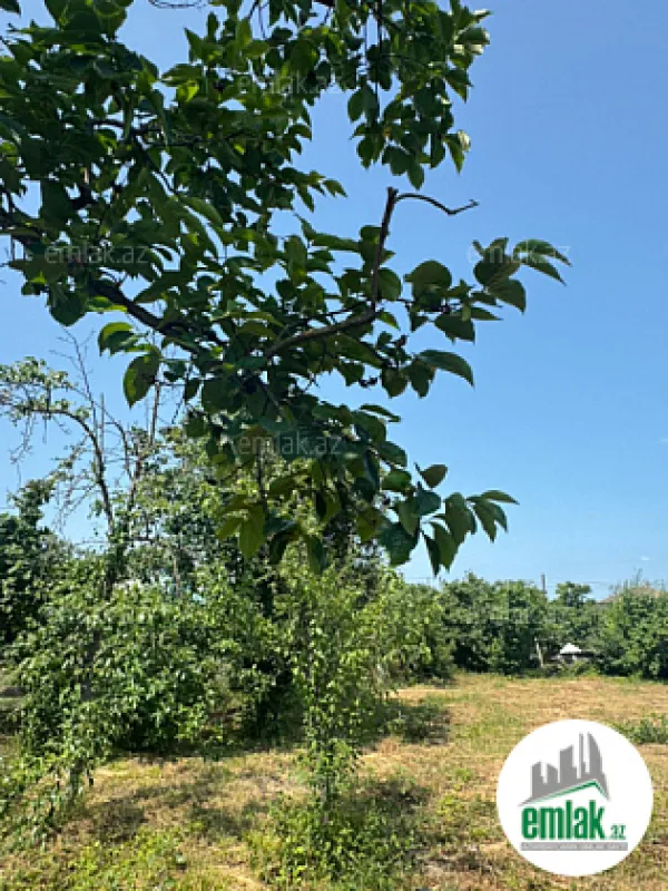 Satılır torpaq sahəsi 12 m²