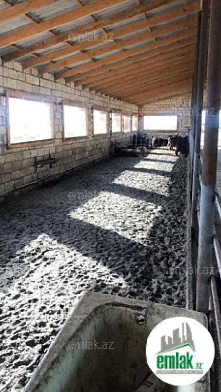 Satılır torpaq sahəsi 15000 m²