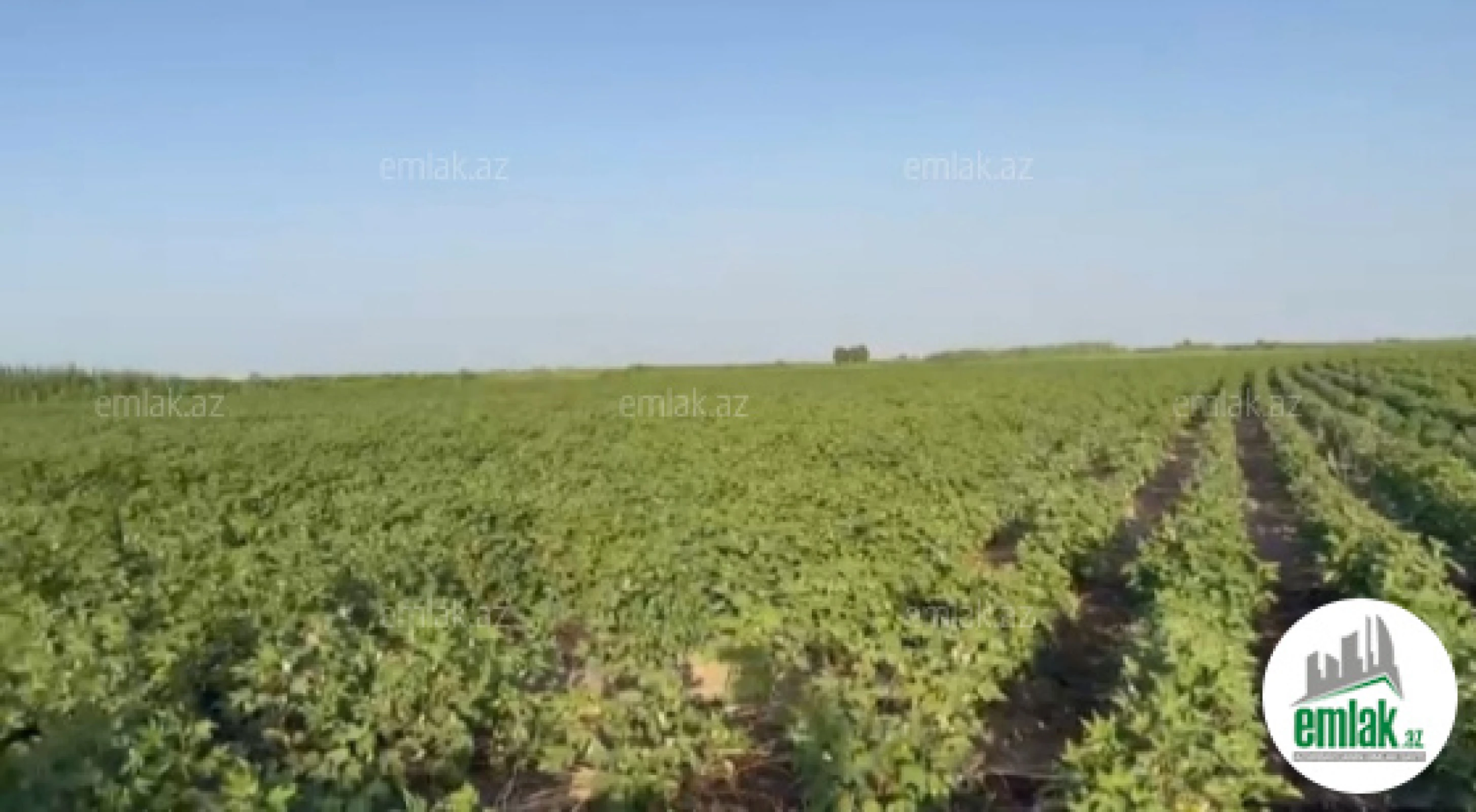 Satılır torpaq sahəsi 15000 m²