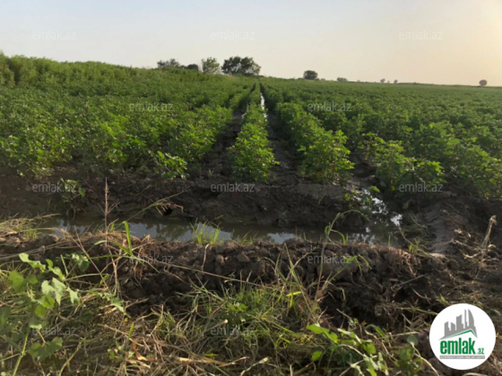 Satılır torpaq sahəsi 15000 m²