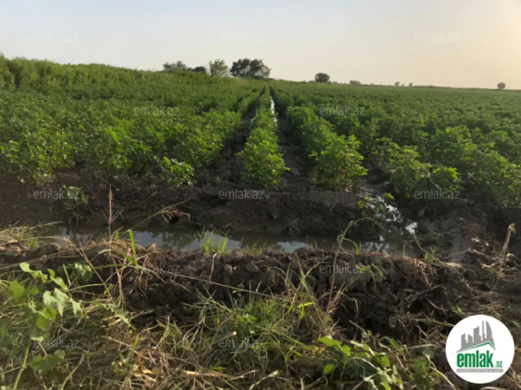 Satılır torpaq sahəsi 15000 m²