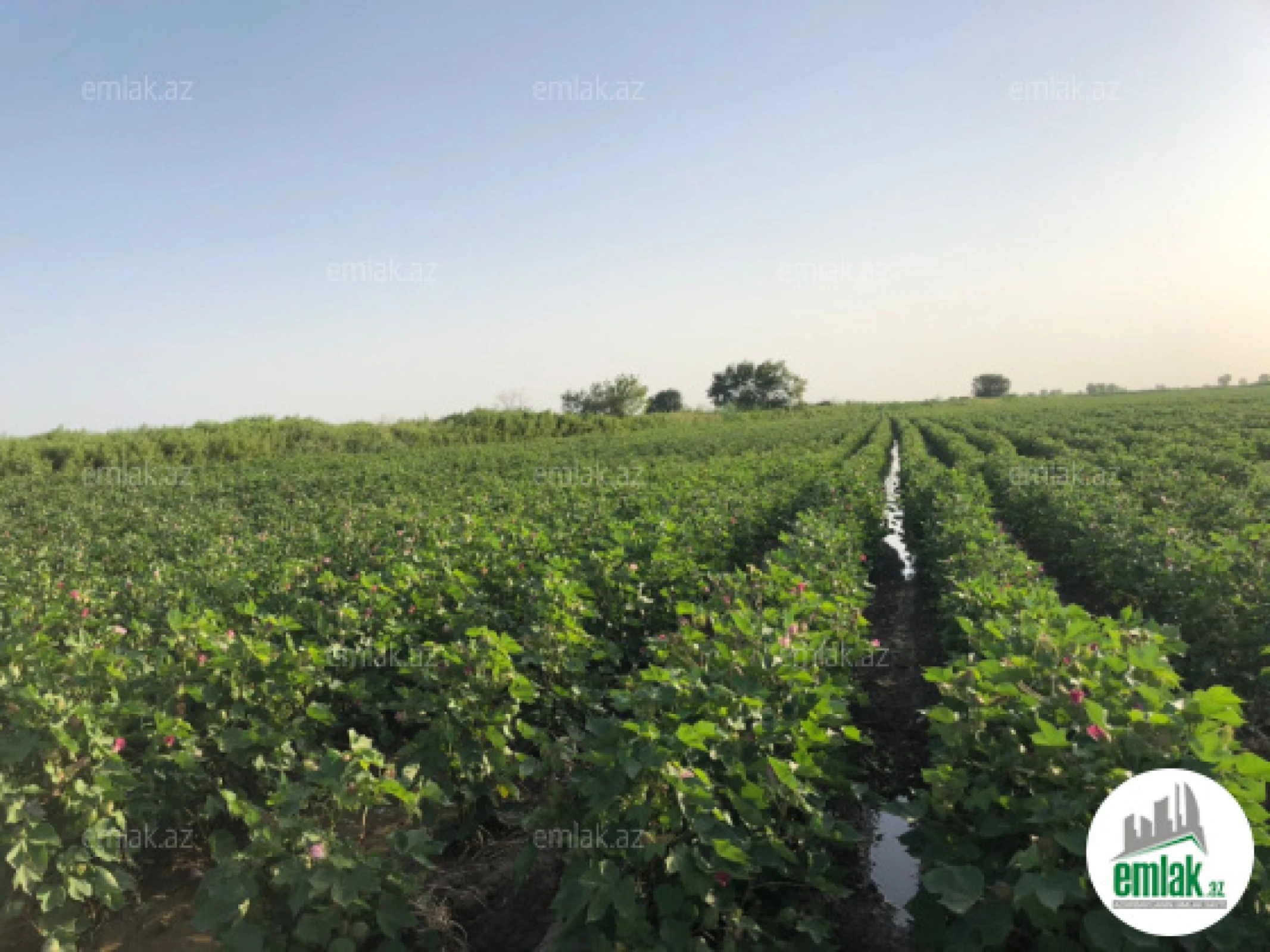 Satılır torpaq sahəsi 15000 m²