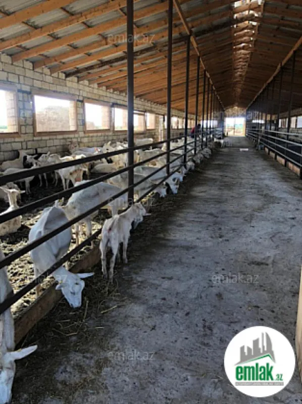 Satılır torpaq sahəsi 15000 m²
