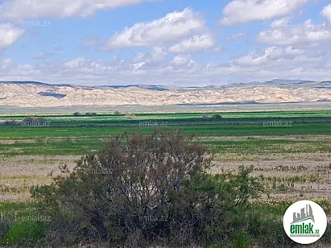 Satılır torpaq sahəsi 25000 m²