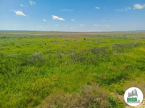 Satılır torpaq sahəsi 25000 m²