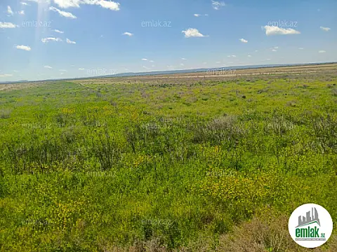 Satılır torpaq sahəsi 25000 m²